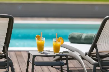 Modern Villa with Private Pool Nova Vas