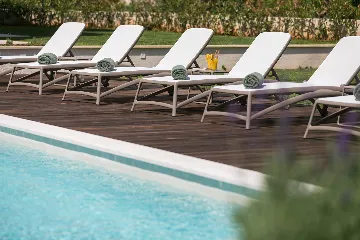 Modern Villa with Private Pool Nova Vas