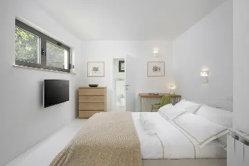 Spacious Family Villa With Parking in Labin