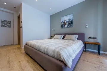 Modern Villa with Heated Pool in Opatija