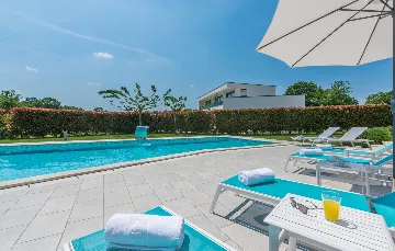 Modern Poolside Villa in Pazin with Jacuzzi & Sauna