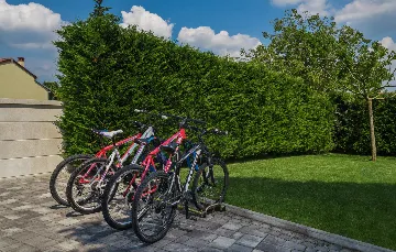 Modern Poolside Villa in Pazin with Jacuzzi & Sauna