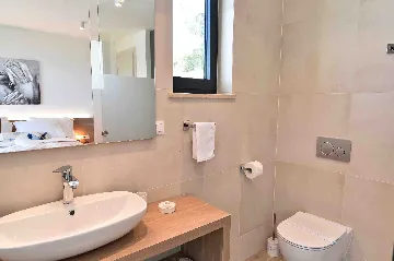 Modern Villa with Heated Pool in Opatija