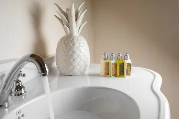 Elegant 4-Bedroom Villa with Pool in Vabriga