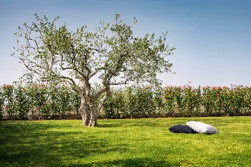 Elegant Family Villa with Pool in Vabriga