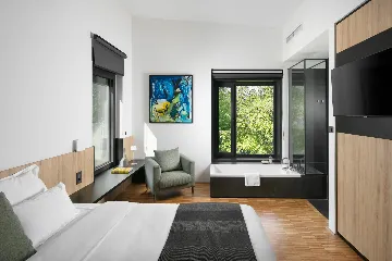 Spacious Villa with Heated Pool in Svetvinčenat