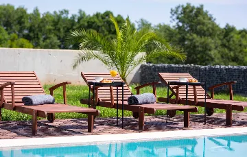 Spacious 4-Bedroom Villa with Pool in Ližnjan