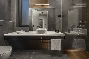 Modern Villa with Pool in Novigrad