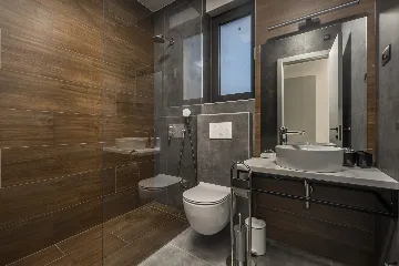 Modern Villa with Pool in Novigrad