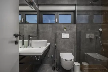 Modern Villa with Pool in Novigrad