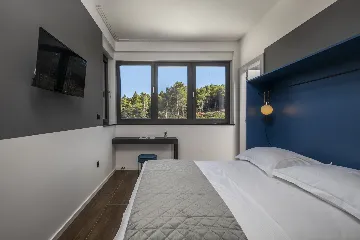 Modern Villa with Pool in Novigrad