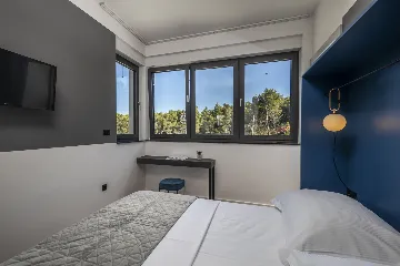 Modern Villa with Pool in Novigrad