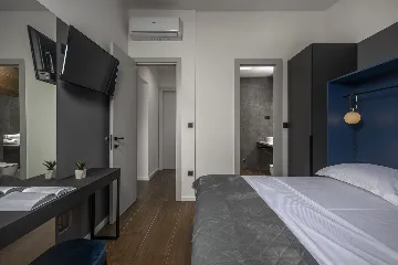 Modern Villa with Pool in Novigrad