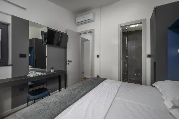 Modern Villa with Pool in Novigrad