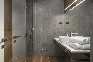 Modern Villa with Pool in Novigrad