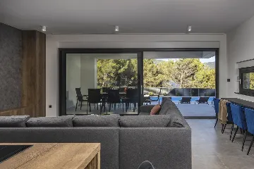 Modern Villa with Pool in Novigrad