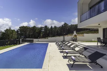 Modern Villa with Pool in Novigrad