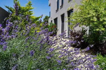 Contemporary Villa Retreat with Pool near Nin