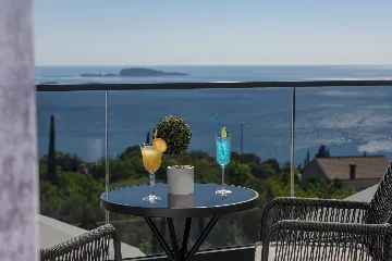 Modern 5-Bedroom Villa With Pool in Plat, Croatia