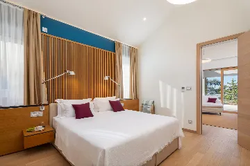 Spacious Six-Bedroom Villa Retreat, Škrip