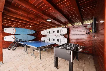 Modern Family Villa with Pool in Nin