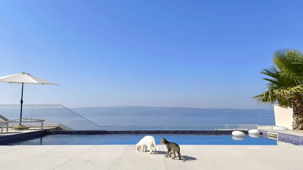 Modern Seaside Villa with Infinity Pool in Dugi Rat