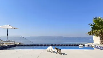 Modern Seaside Villa with Infinity Pool in Dugi Rat