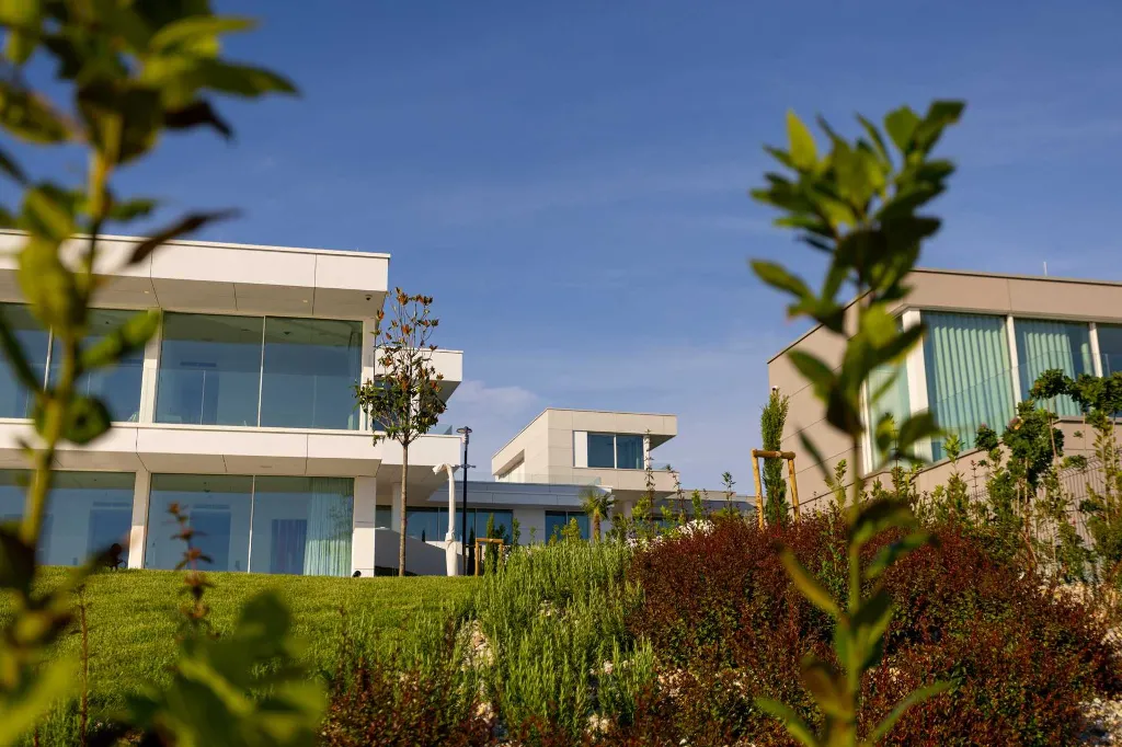 Modern Villa with Pool on Ugljan Island