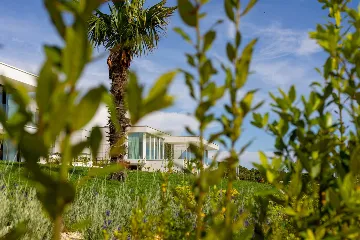 Contemporary Seaside Villa With Pool Ugljan