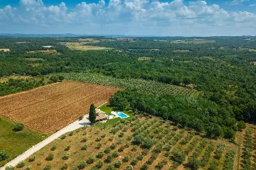 Family Villa with Pool and Large Garden in Tar
