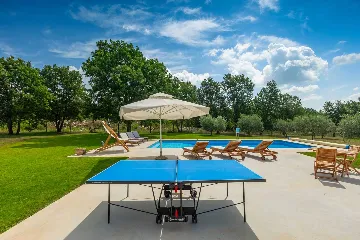 Family Villa with Pool and Large Garden in Tar