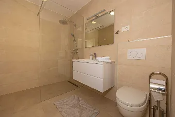 Spacious Sea View Villa with Pool in Bribir