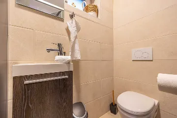 Spacious Sea View Villa with Pool in Bribir