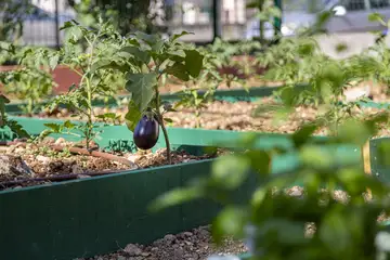 Modern Six-Bedroom Villa in Kaštel Lukšić