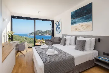 Spacious Family Villa with Pool in Vis