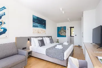 Spacious Family Villa with Pool in Vis