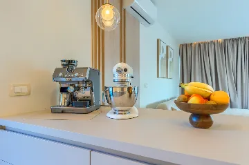 Modern Villa with Spacious Yard in Sukošan