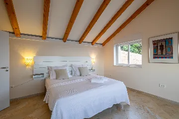 Spacious Hillside Villa with Pool in Potomje