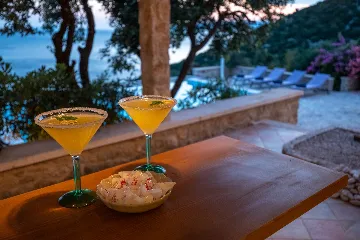 Spacious Hillside Villa with Pool in Potomje