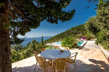 Spacious Hillside Villa with Pool in Potomje