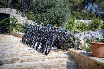 Private Island Villa with Pool near Stari Grad