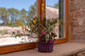 Private Island Villa with Pool near Stari Grad