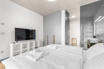 Modern Villa with Pool and Sauna in Rabac