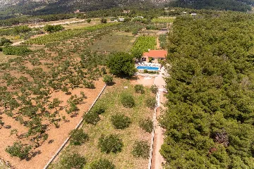 Seaside Family Villa with Pool in Bol