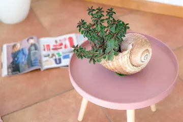 Seaside Villa Retreat with Pool, Bol