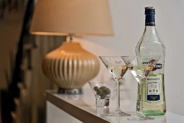 Modern Villa with Pool and Wellness in Stanići