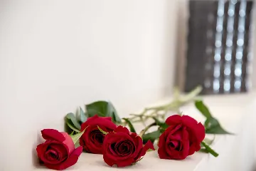 Modern Villa with Pool and Wellness in Stanići