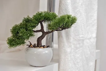 Modern Villa with Pool and Wellness in Stanići