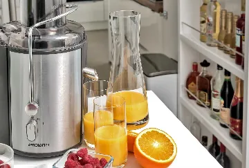 Modern Villa with Pool and Wellness in Stanići