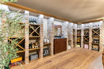 Contemporary Villa Retreat with Pool in Sovinjska Brda